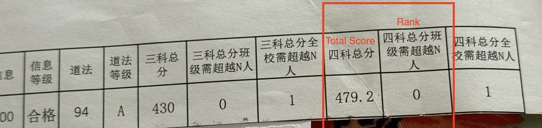 Middle school term report