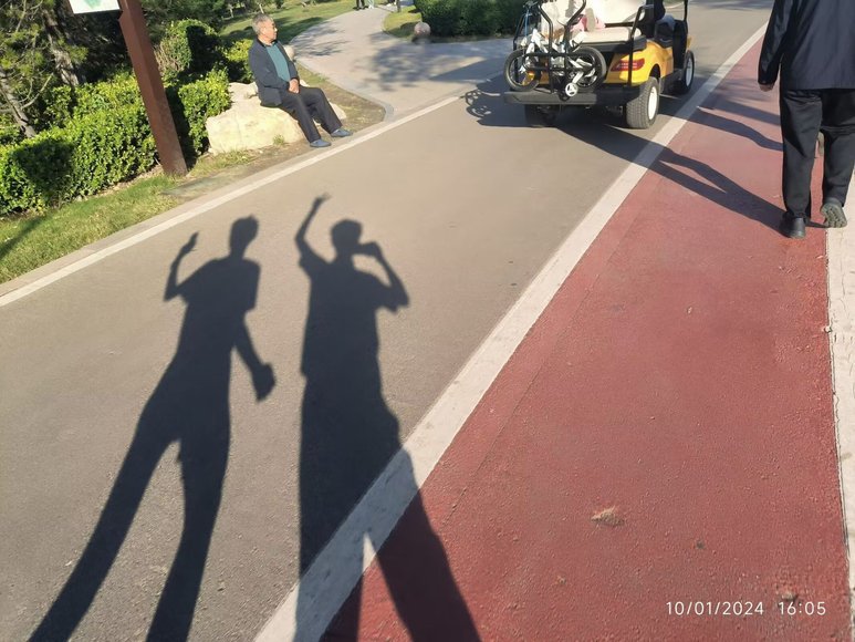 Shadows of two runners on a park path